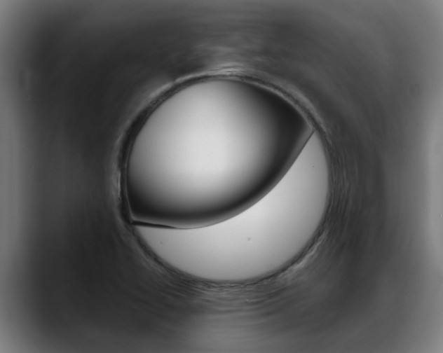X0000088641414200705250909