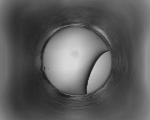 X0000088641415200705250909