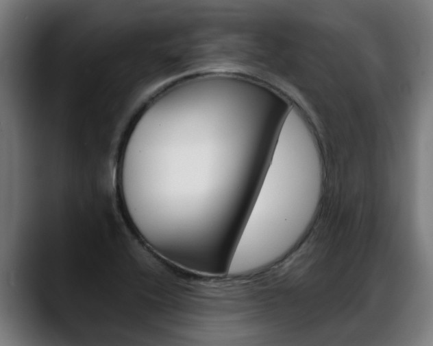 X0000088641416200705250909