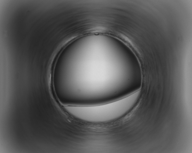 X0000088641418200705250909