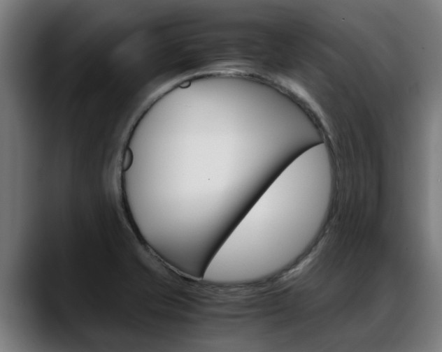 X0000088641421200705250909