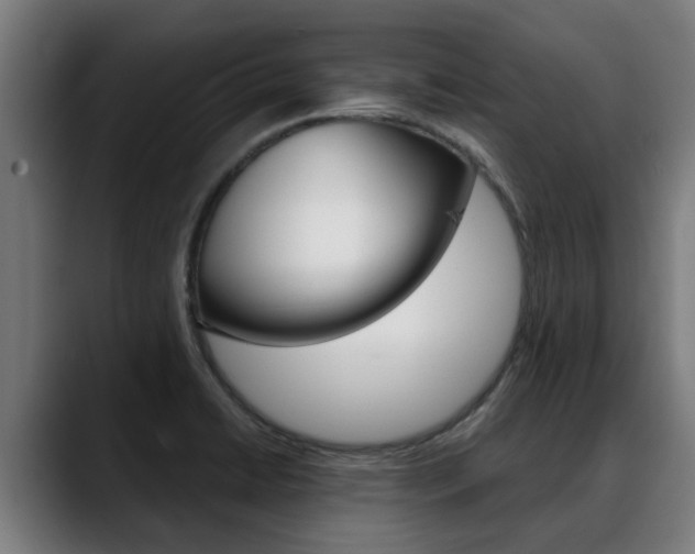 X0000088641422200705250909