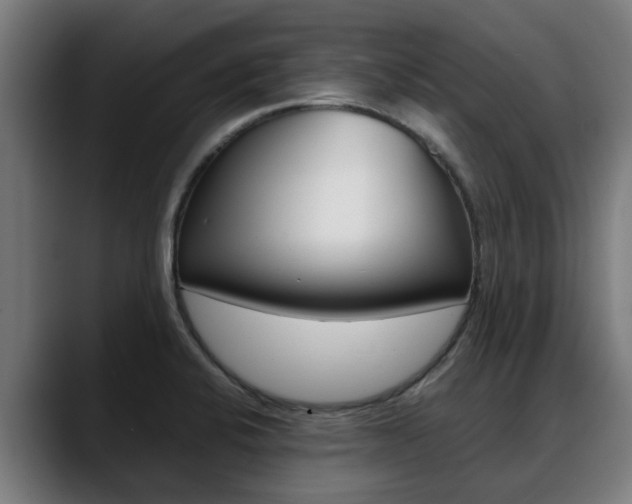 X0000088641424200705250909