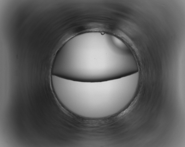 X0000088641425200705250909