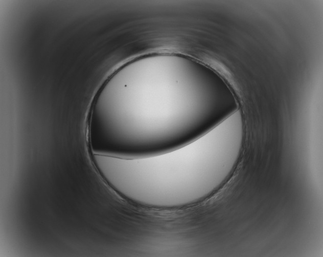 X0000088641428200705250909