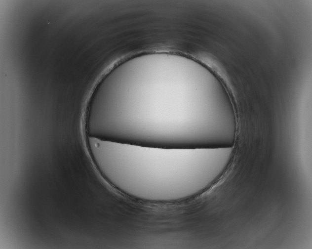X0000088641429200705250909