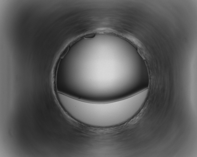 X0000088641430200705250909