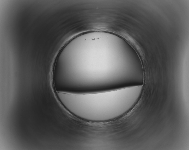 X0000088641432200705250909