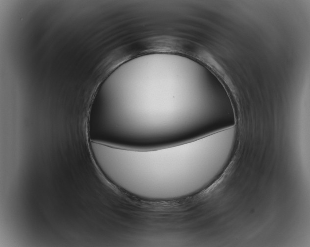 X0000088641433200705250909