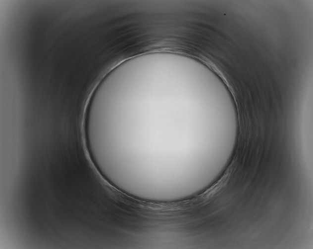 X0000088641434200705250909