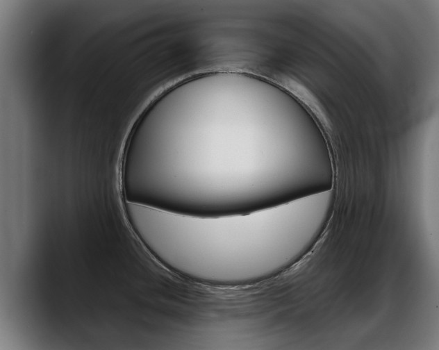 X0000088641436200705250909