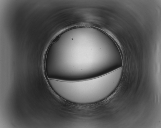 X0000088641437200705250909