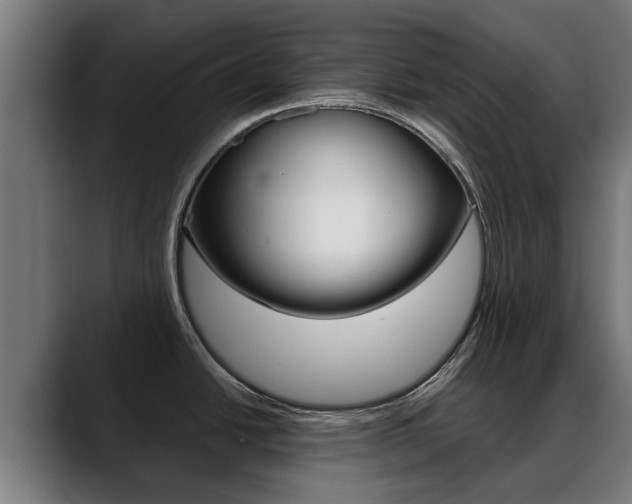 X0000088641438200705250909