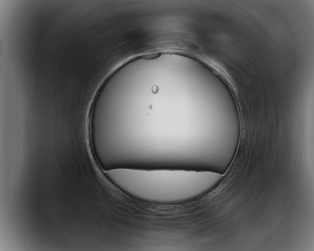 X0000088641439200705250909