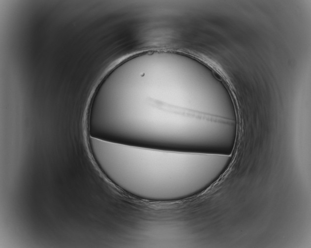 X0000088641440200705250909