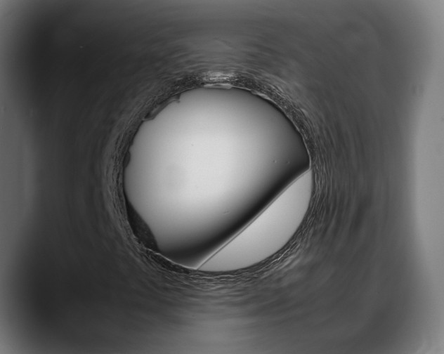 X0000088641441200705250909