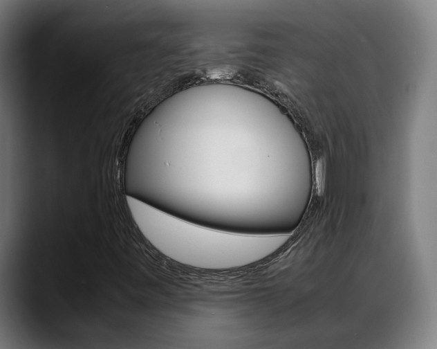 X0000088641443200705250909