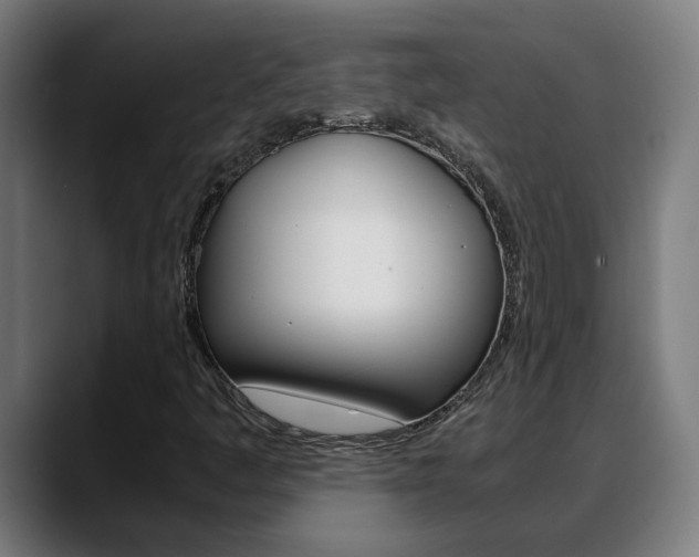 X0000088641445200705250909