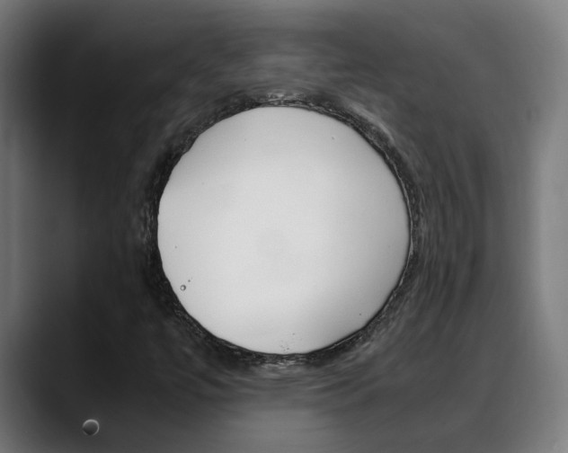 X0000088641447200705250909