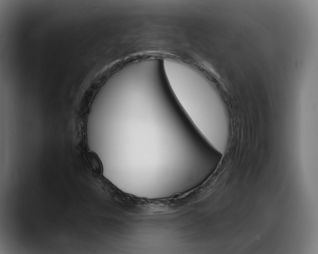 X0000088641448200705250909