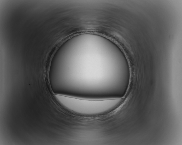 X0000088641449200705250909