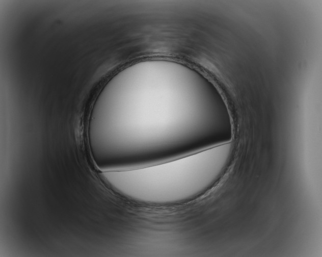 X0000088641450200705250909