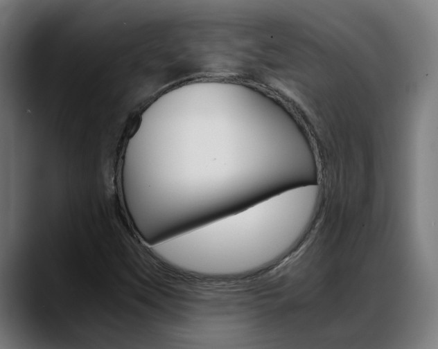 X0000088641451200705250909