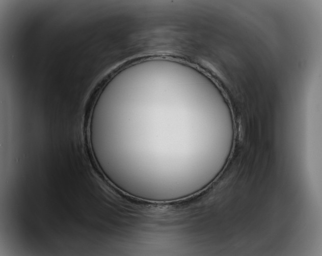 X0000088641452200705250909