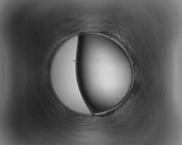 X0000088641453200705250909