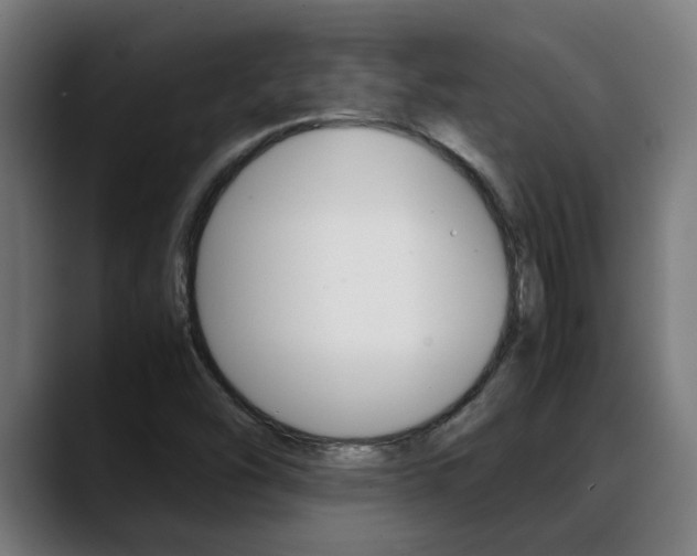 X0000088641454200705250909