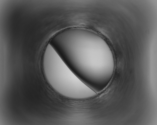 X0000088641455200705250909
