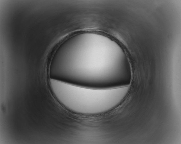 X0000088641456200705250909