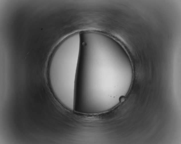 X0000088641460200705250909