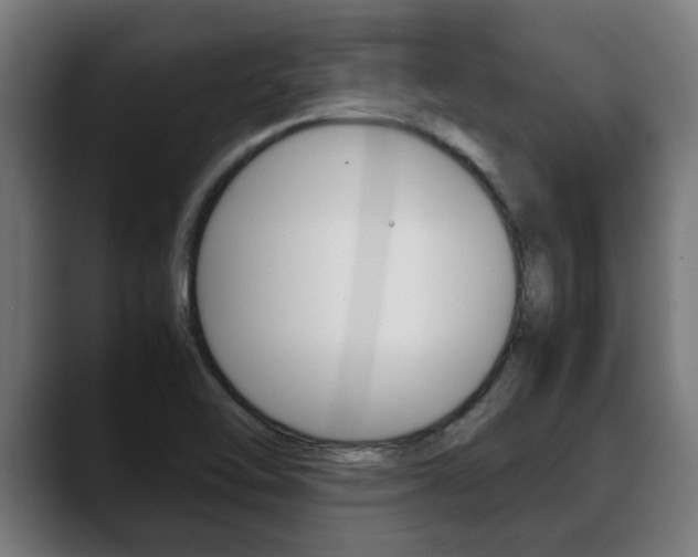 X0000088641462200705250909