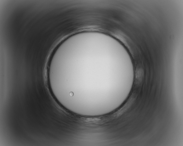 X0000088641466200705250908