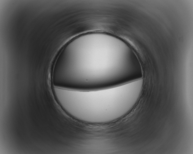 X0000088641468200705250908