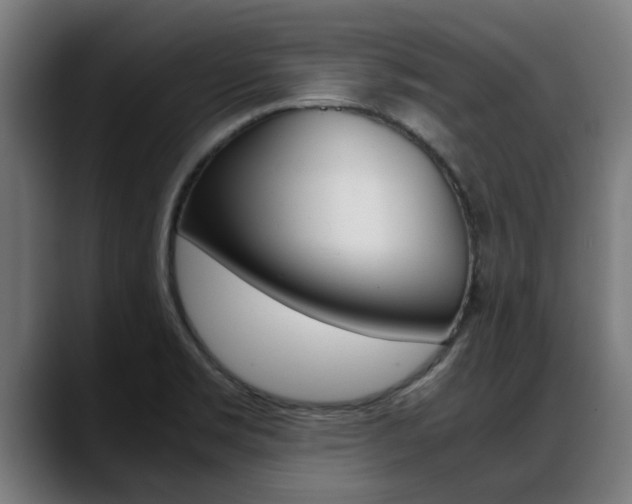 X0000088641469200705250908