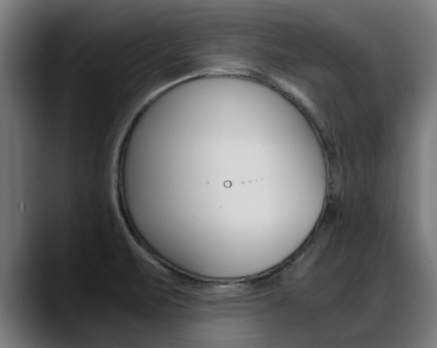 X0000088641471200705250908