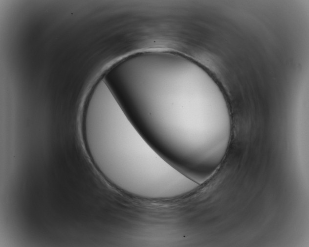 X0000088641472200705250908