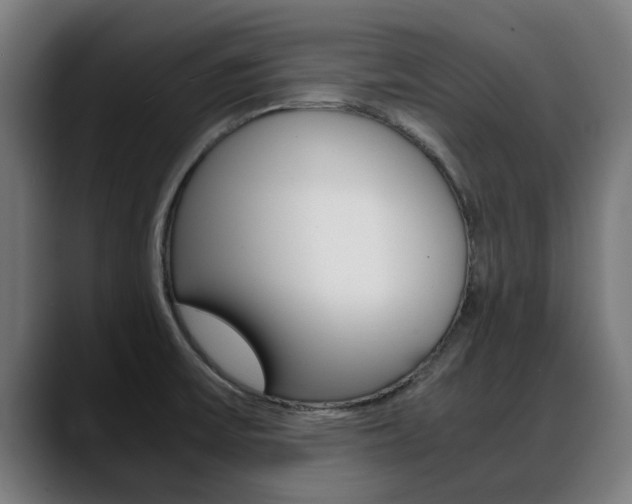 X0000088641475200705250908
