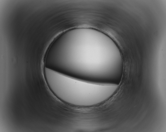 X0000088641476200705250908