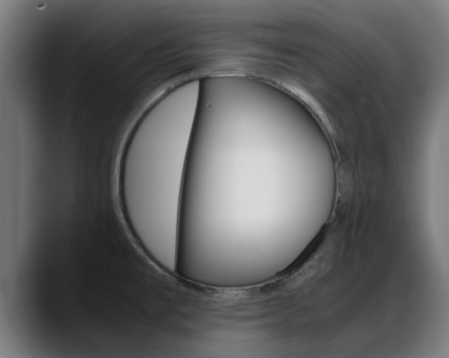 X0000088641477200705250908