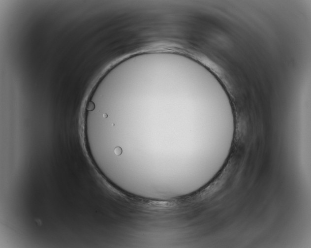 X0000088641478200705250908