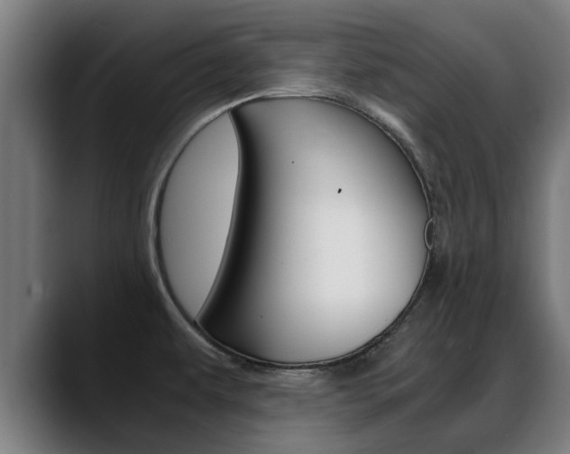 X0000088641479200705250908
