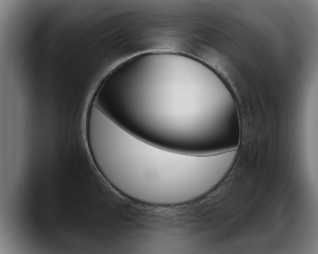 X0000088641480200705250908