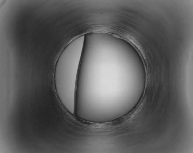 X0000088641481200705250908
