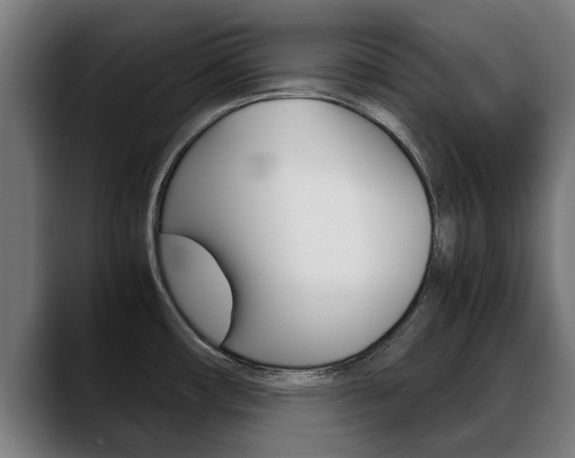 X0000088641482200705250908