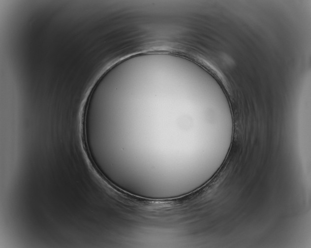 X0000088641483200705250908