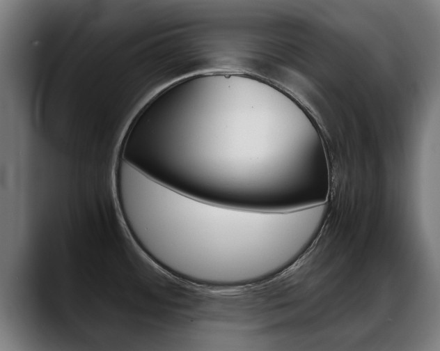 X0000088641484200705250908