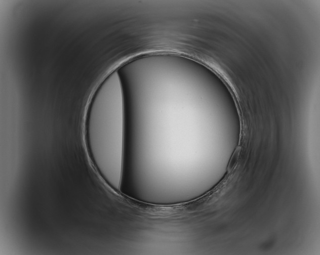 X0000088641485200705250908